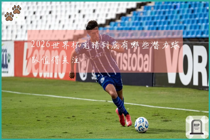 2026世界杯竞猜到底有哪些潜力球队值得关注