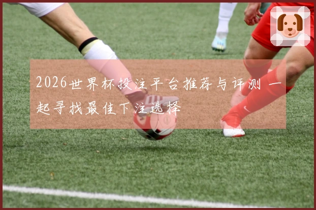 2026世界杯投注平台推荐与评测 一起寻找最佳下注选择