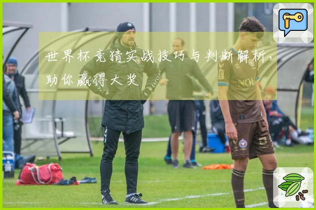 世界杯竞猜实战技巧与判断解析，助你赢得大奖