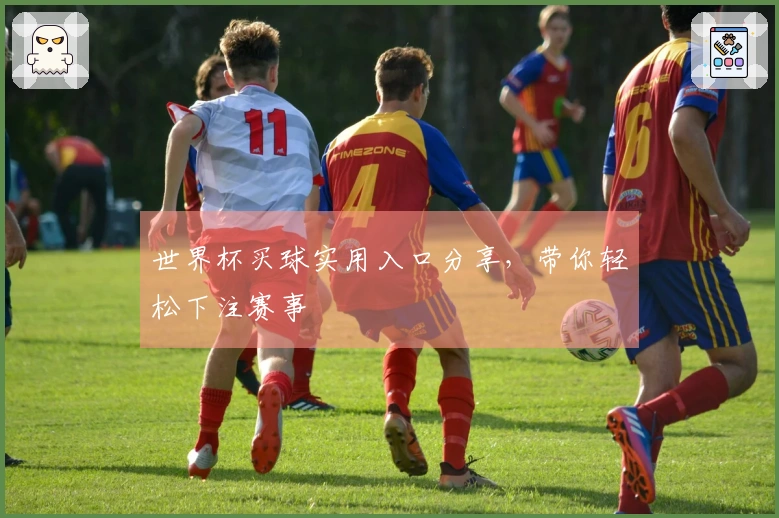 世界杯买球实用入口分享，带你轻松下注赛事