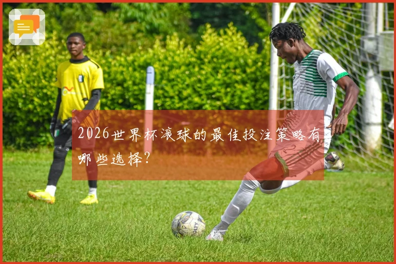 2026世界杯滚球的最佳投注策略有哪些选择？
