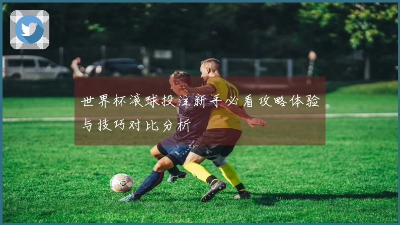 世界杯滚球投注新手必看攻略体验与技巧对比分析