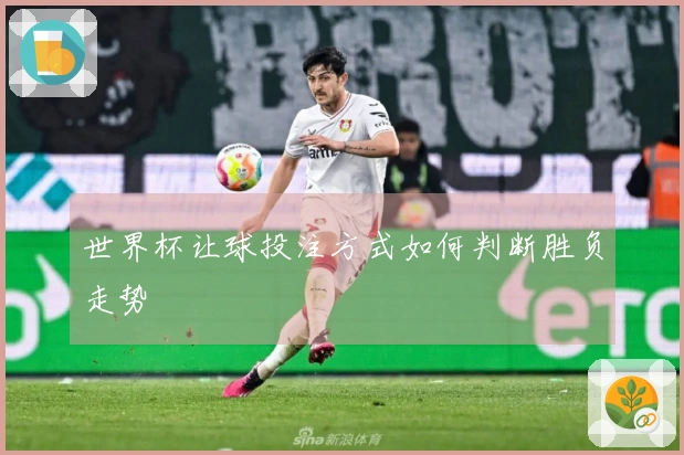 世界杯让球投注方式如何判断胜负走势