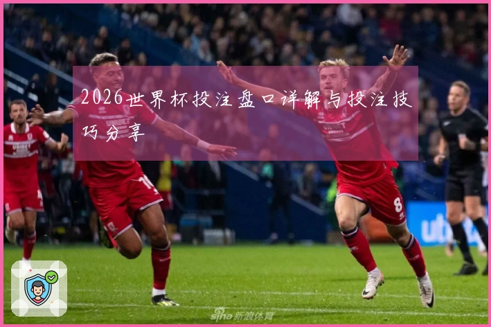 2026世界杯投注盘口详解与投注技巧分享