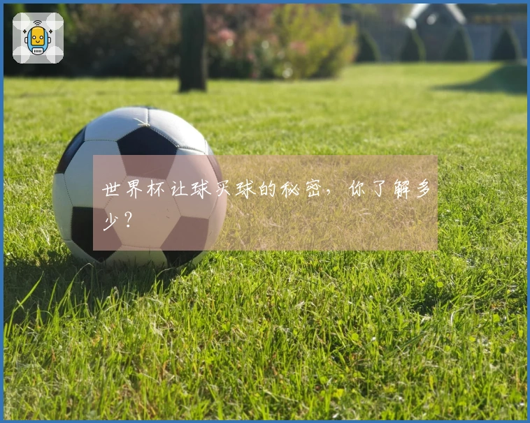 世界杯让球买球的秘密，你了解多少？