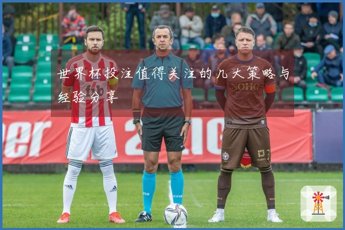世界杯投注值得关注的几大策略与经验分享