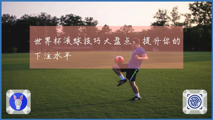 世界杯滚球技巧大盘点，提升你的下注水平